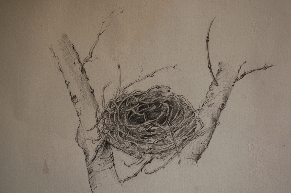 An empty nest