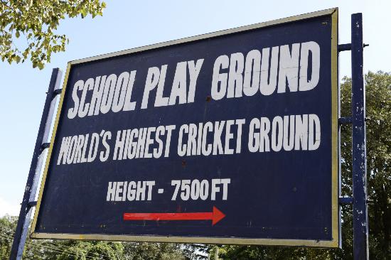 cricket pitch sign